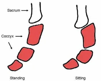 'Actively sit' and untuck your tailbone