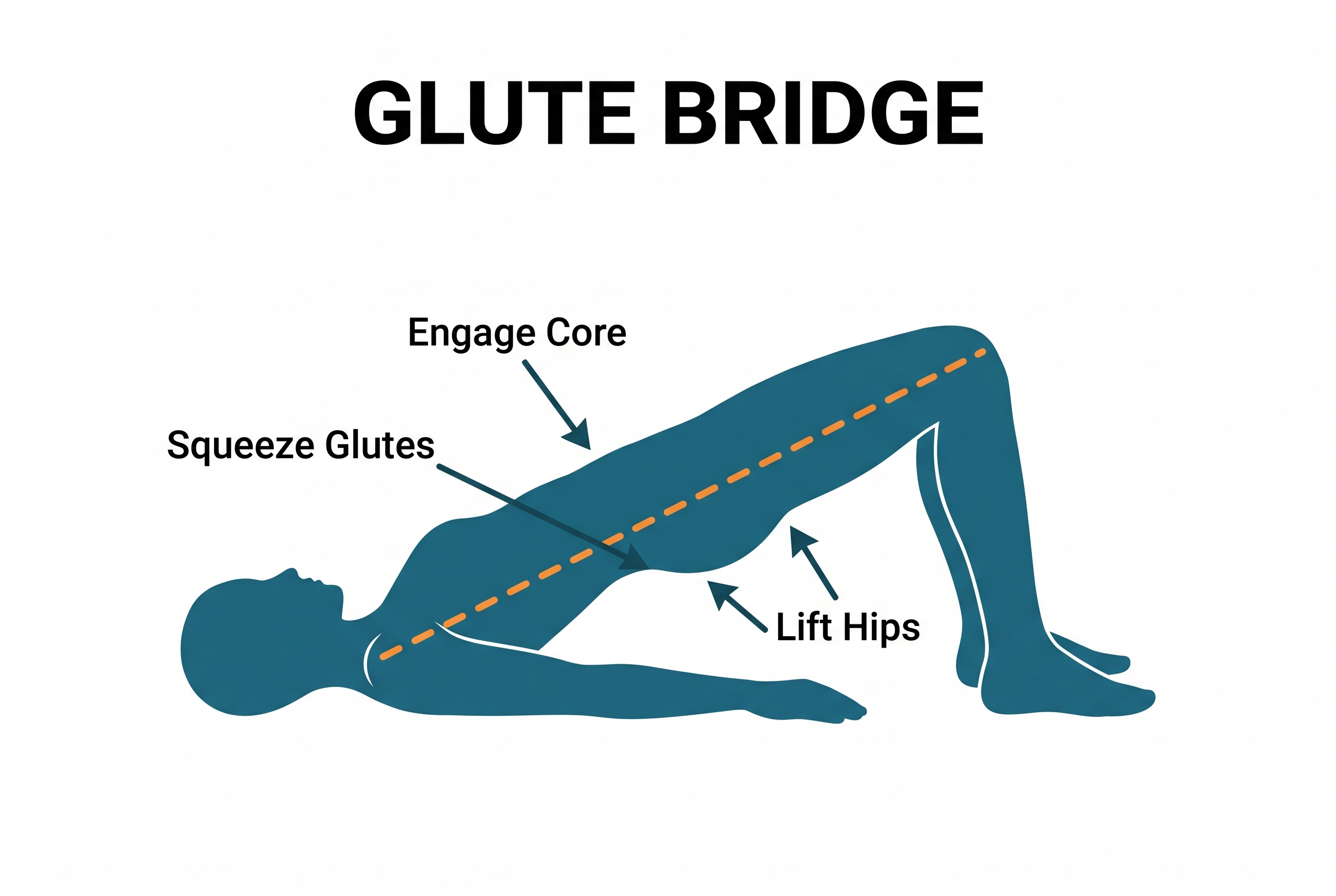 Glute bridge exercise for gluteus maximus activation