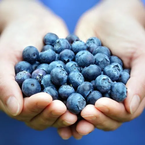 Introducing Jennifer May, Nutritionist