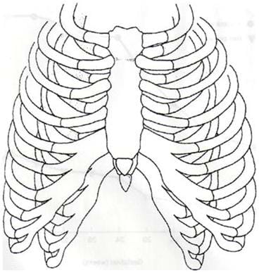 pregnant women getting fitted with belt