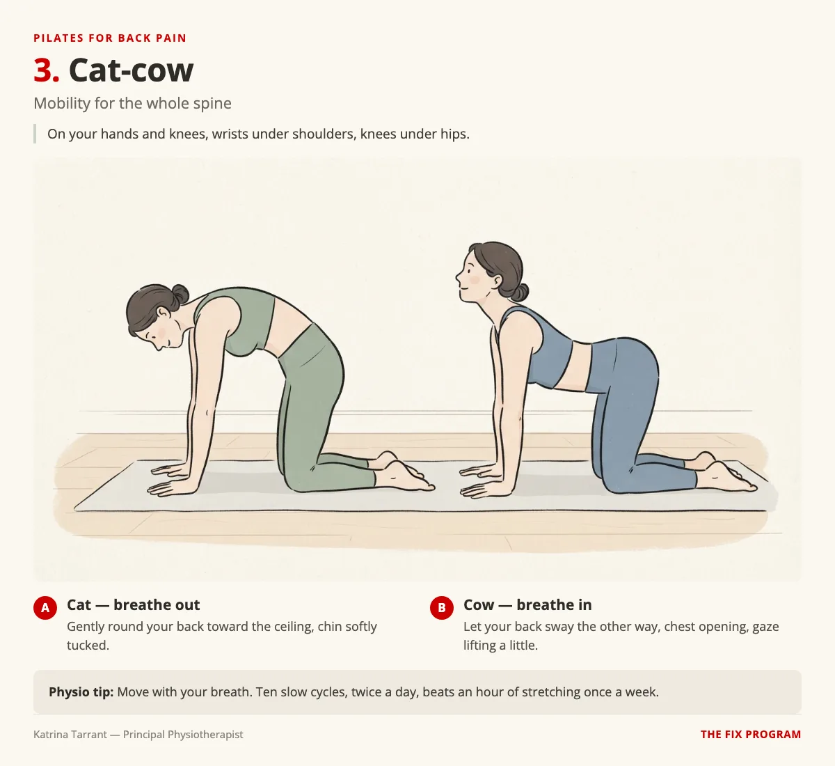 Cat-cow for back pain: two side-view illustrations of a person on hands and knees. Position A, the cat, rounds the back toward the ceiling with the chin tucked while breathing out. Position B, the cow, lets the back sway the other way with the chest opening and gaze lifting while breathing in.