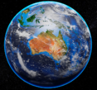 What are 'global muscles'?