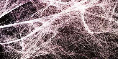 What is myofascia?